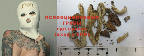 mix Абаза