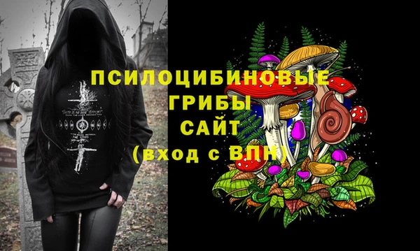гашик Алексеевка