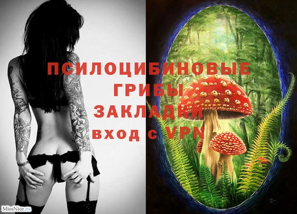 ГАЛЛЮЦИНОГЕННЫЕ ГРИБЫ Абдулино