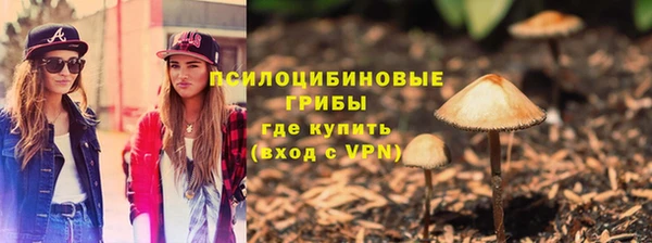 гашик Алексеевка