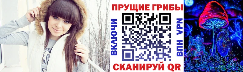 shop состав  ссылка на мегу ссылка  Татарск  Галлюциногенные грибы прущие грибы 